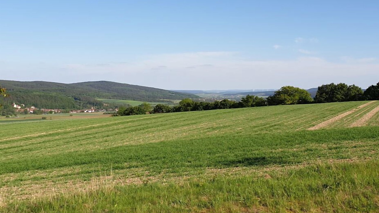Photo of Others in Fladungen