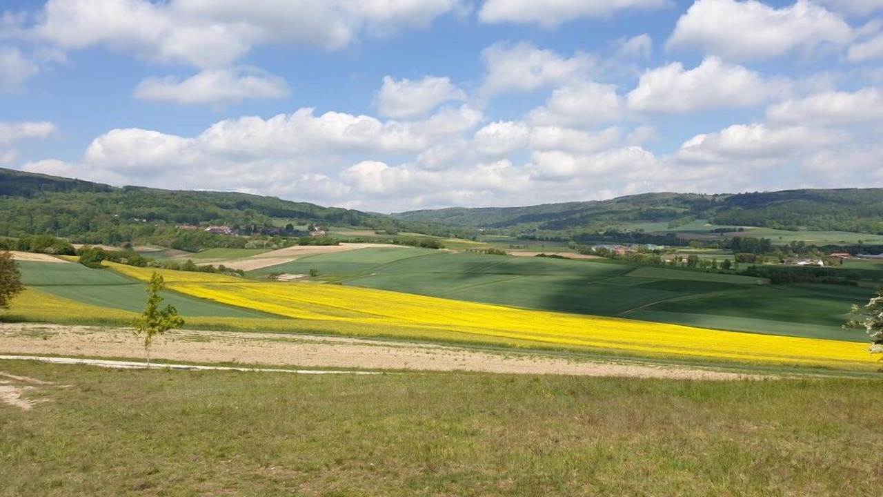 Photo of Others in Fladungen
