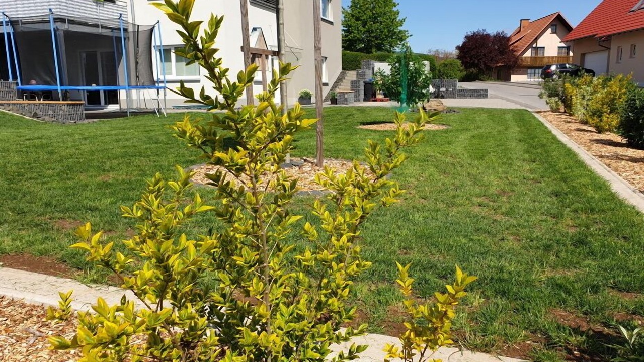 Photo of Outdoor in Fladungen
