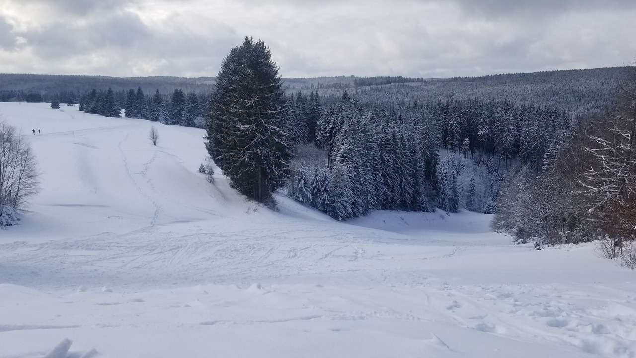 Photo of Others in Nordhalben
