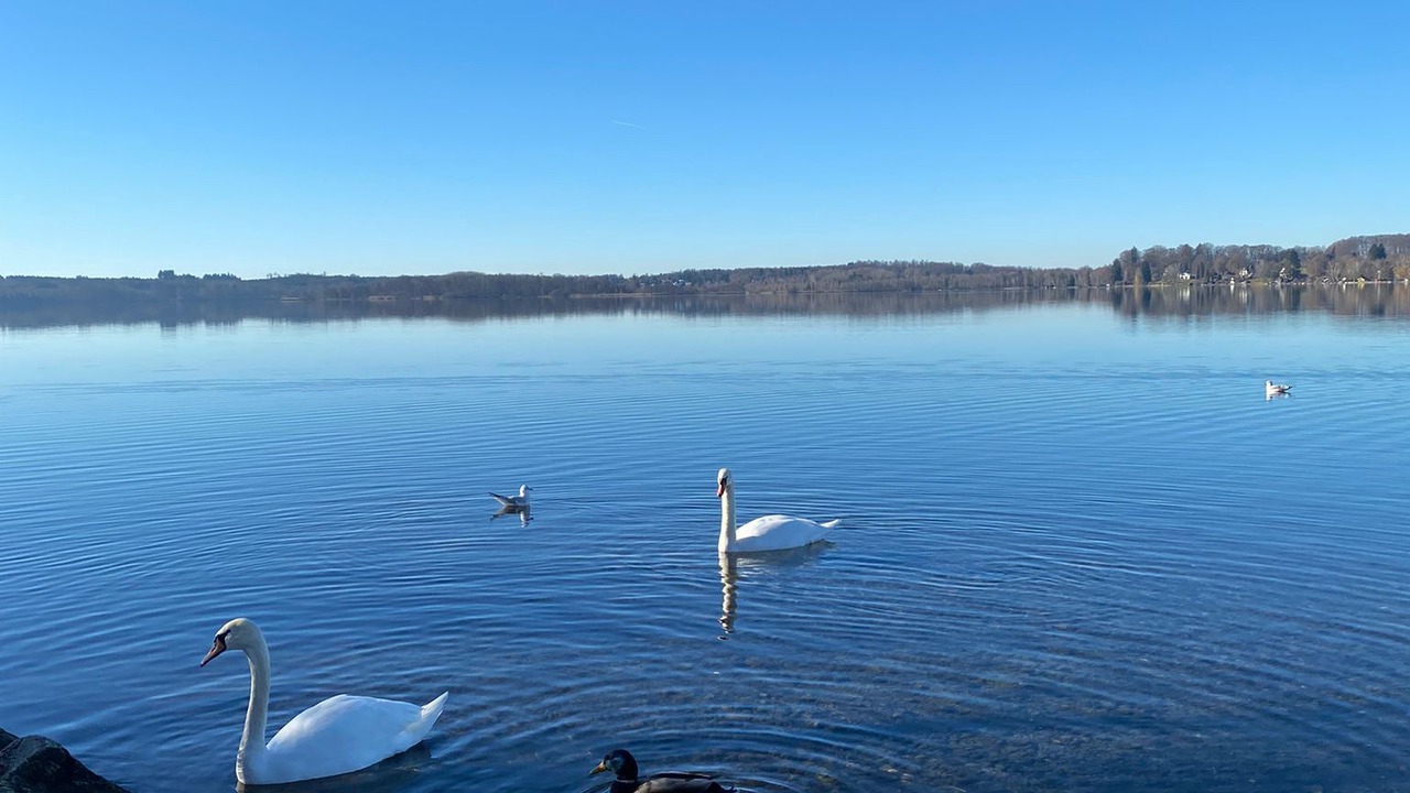 Photo of Outdoor in Worthsee