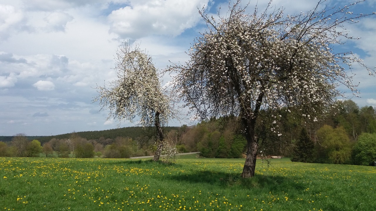 Photo of Outdoor in Gemarkung Edenhausen