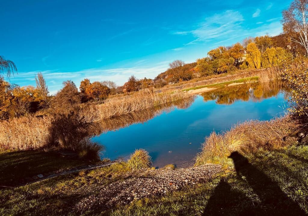 Photo of Outdoor in Lisberg