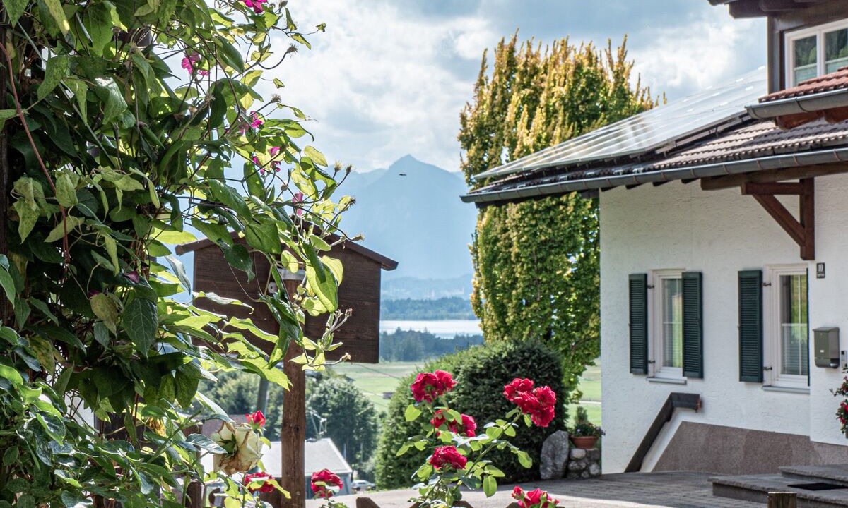 Photo of Outdoor in Buching