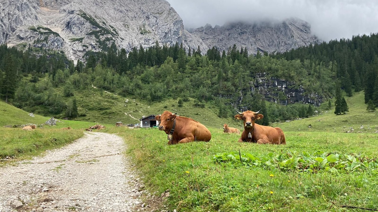 Photo of Others in Hammersbach