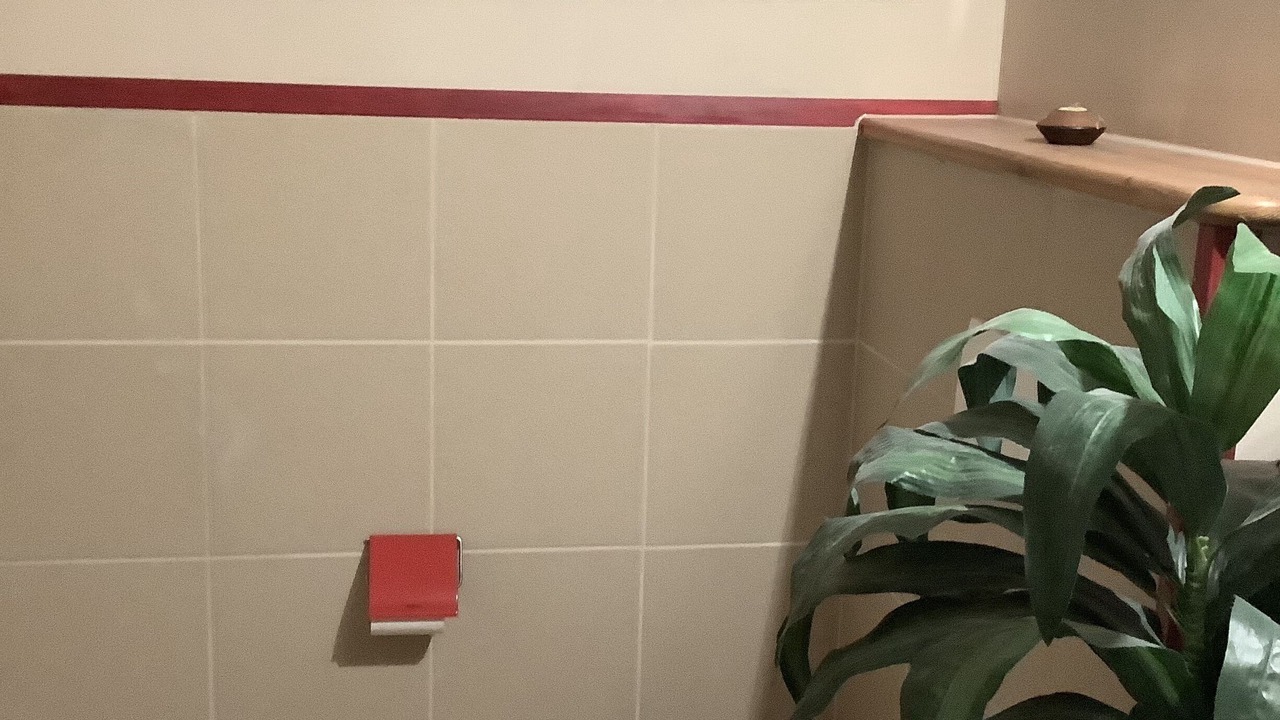 Photo of Bathroom in Gorisried