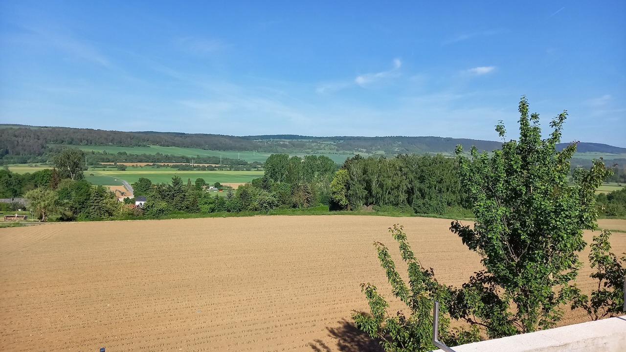 Photo of Others in Tauberbischofsheim