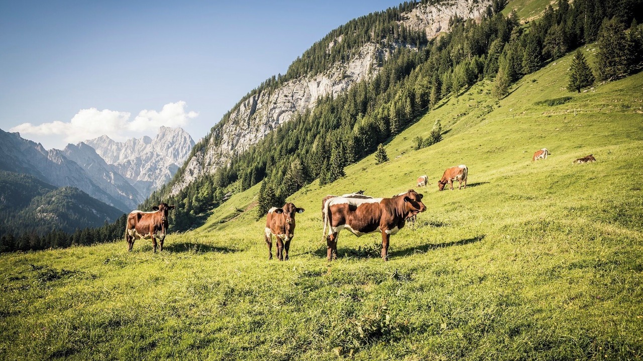 Photo of Others in Ramsau