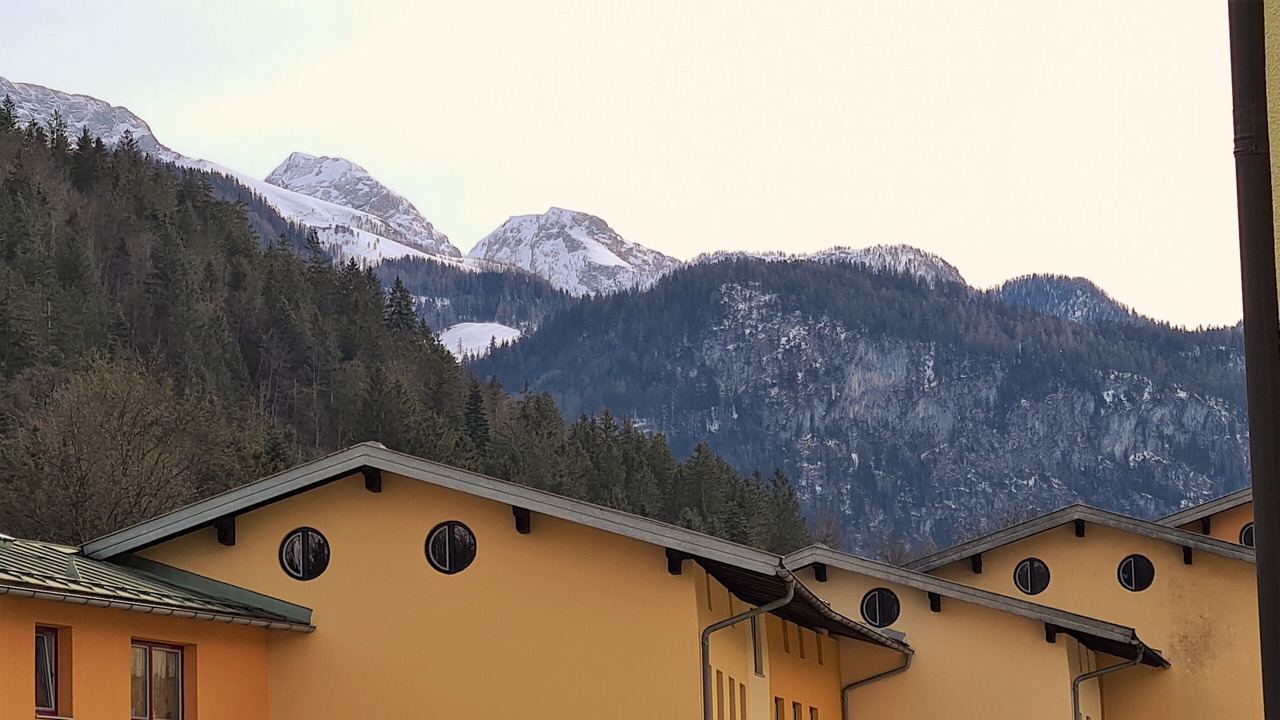 Photo of Outdoor in Schwob