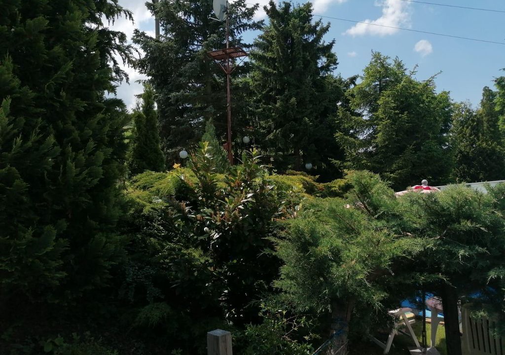 Photo of Outdoor in Berggiesshubel