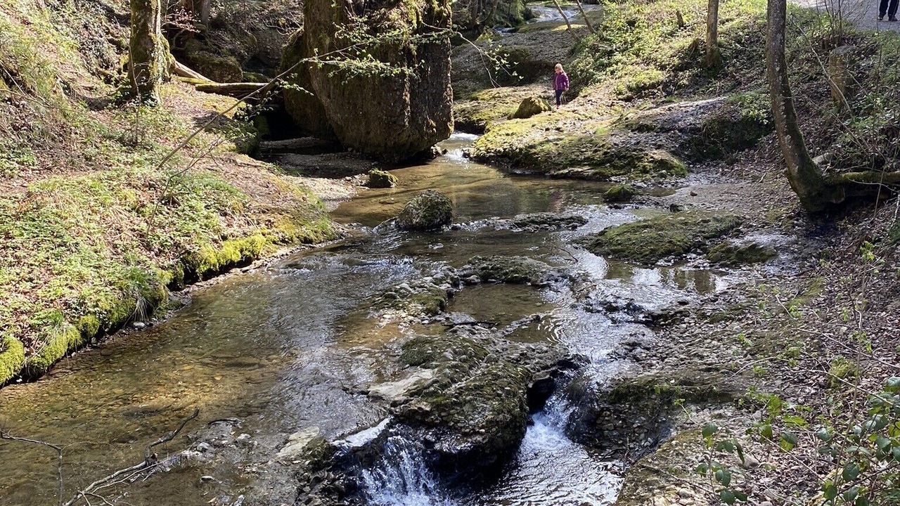 Photo of Outdoor in Sigmarszell