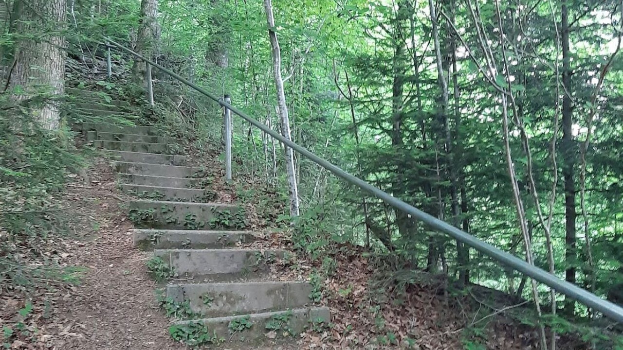 Photo of Outdoor in Sigmarszell