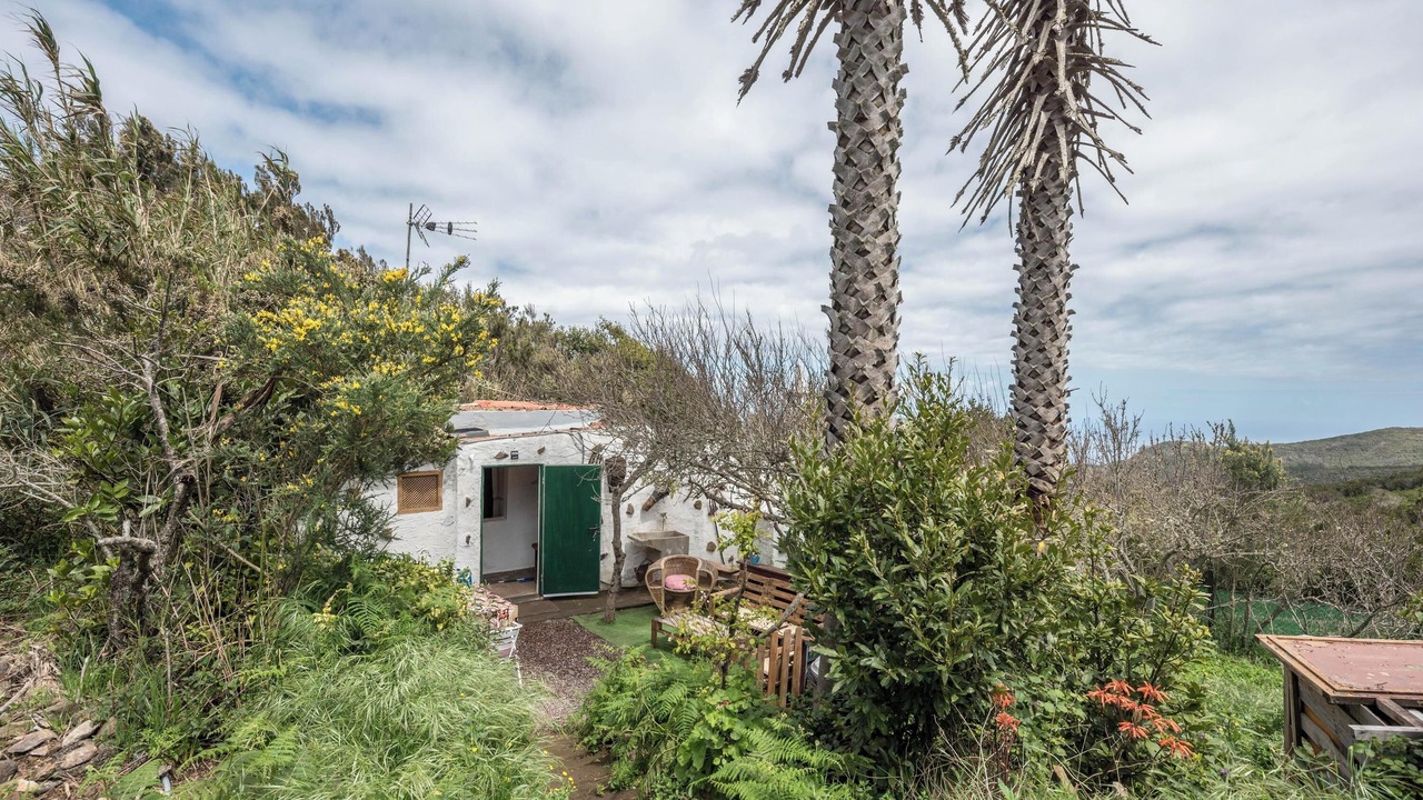 Photo of Outdoor in Teno Alto