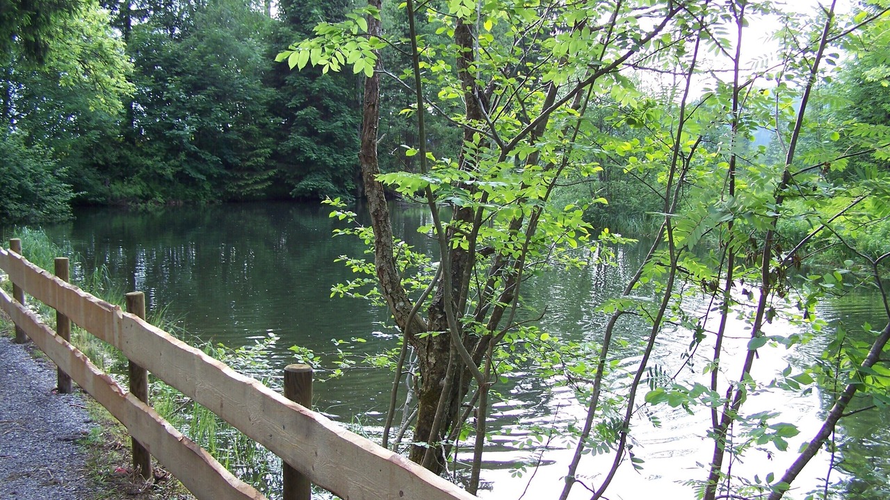 Photo of Outdoor in Jungholz