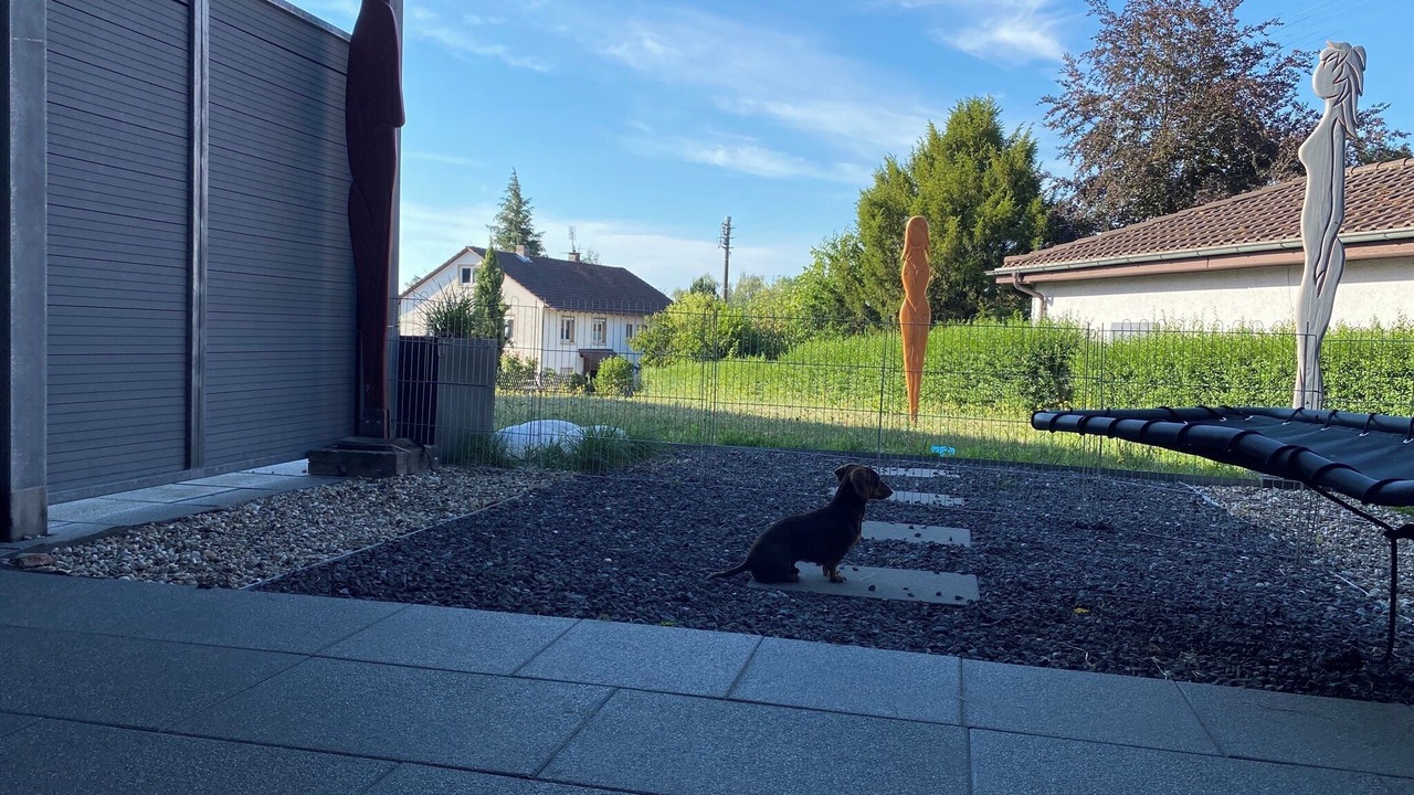 Photo of Outdoor in Owingen