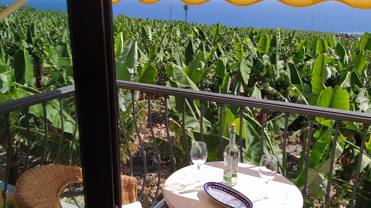 Photo of Outdoor in Tazacorte