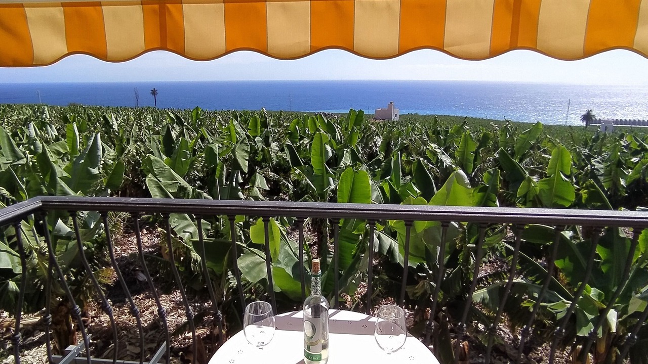 Photo of Outdoor in Tazacorte