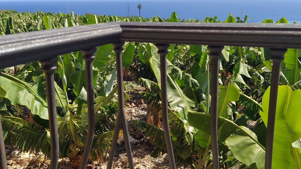 Photo of Outdoor in Tazacorte