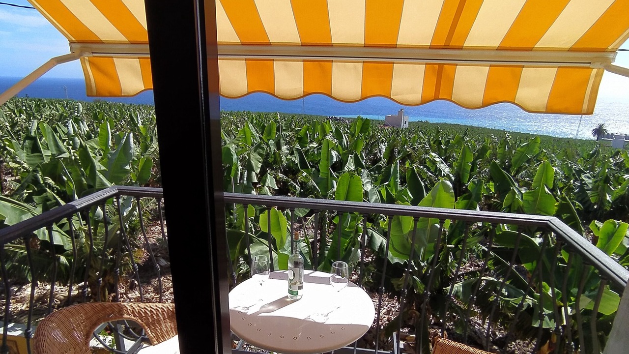 Photo of Outdoor in Tazacorte