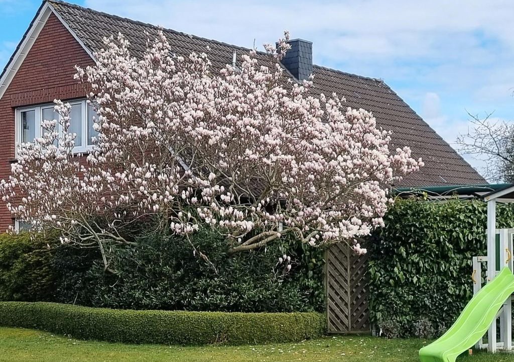 Photo of Outdoor in Westerstede