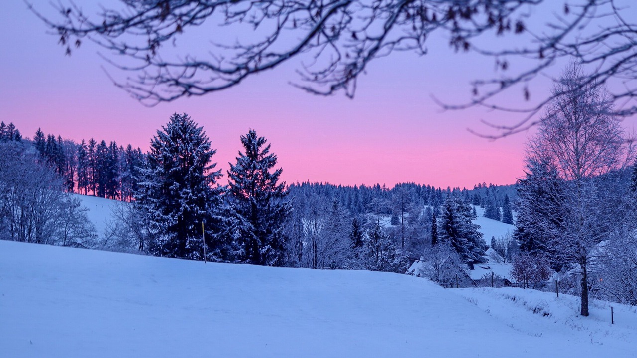 Photo of Others in Bernau