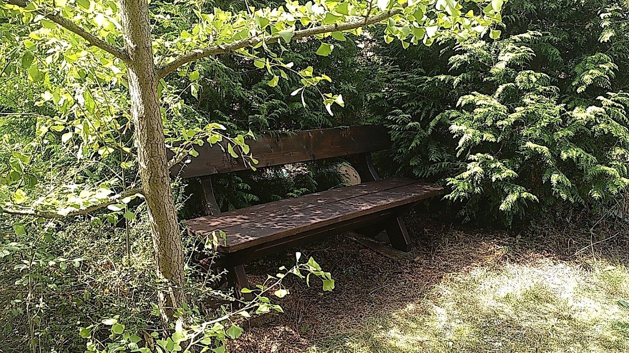 Photo of Outdoor in Bischofsheim an der Rhon