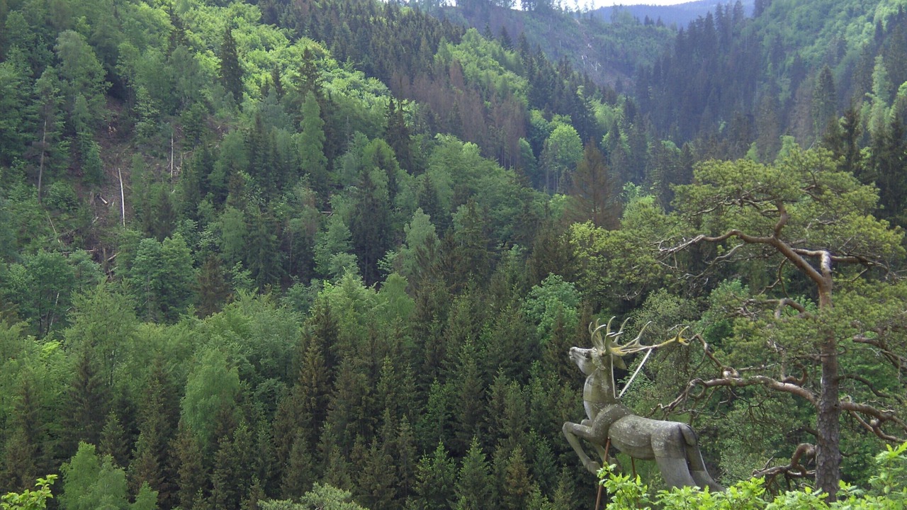 Photo of Outdoor in Schwarzenbach am Wald