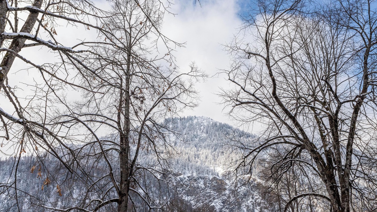 Photo of Others in Bayrischzell