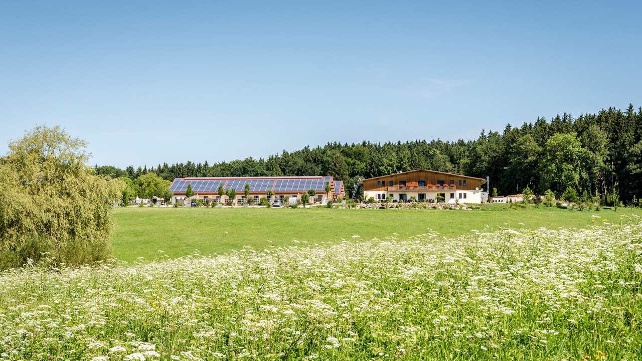 Photo of Outdoor in Hart