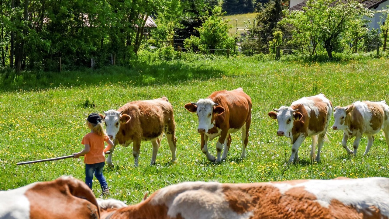 Photo of Others in Eggersberg