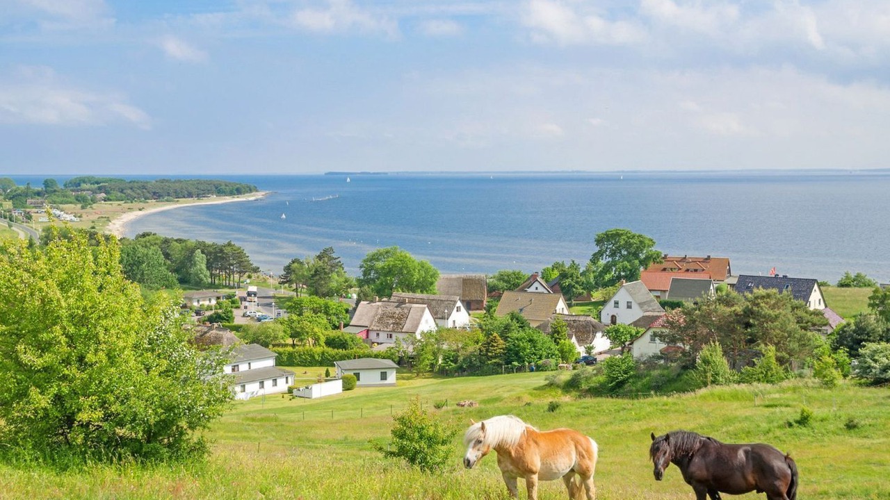 Photo of Others in Gross Zicker