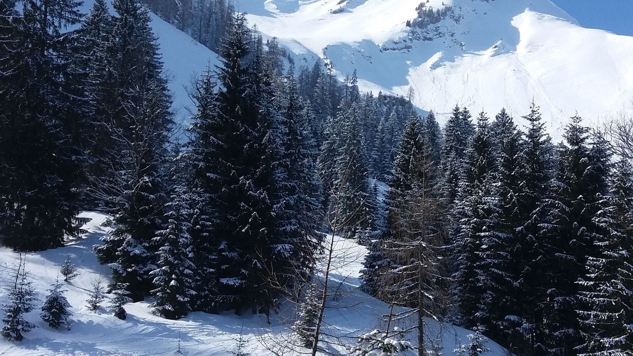 Photo of Others in Lenggries