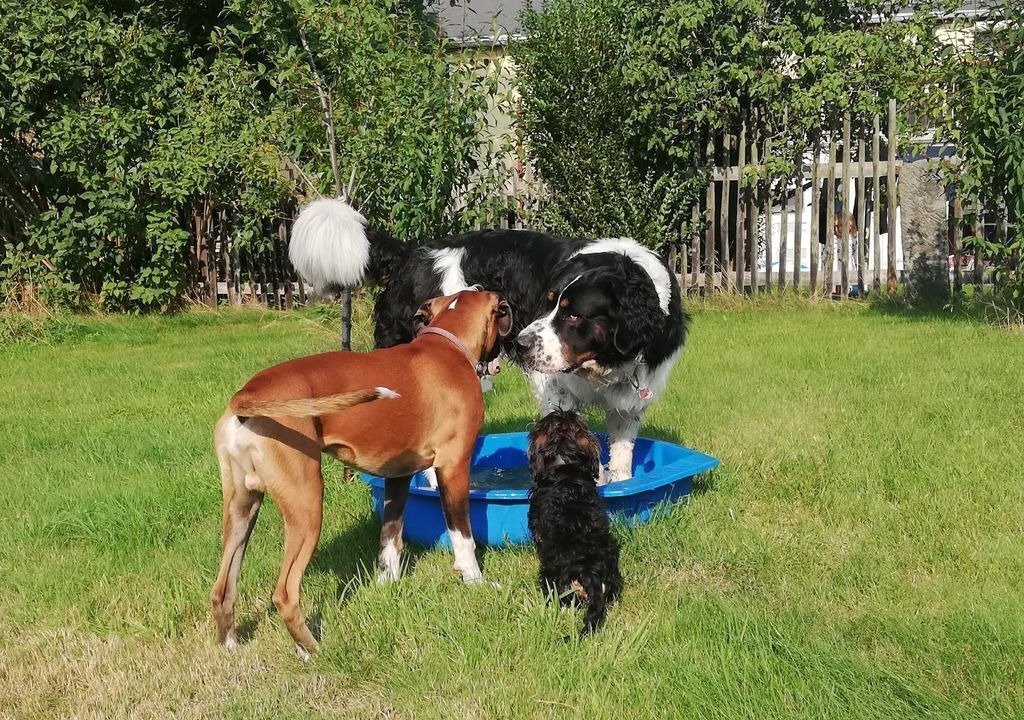 Photo of Others in Rathmannsdorf