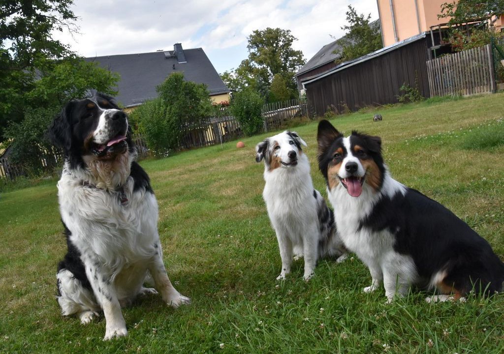 Photo of Outdoor in Rathmannsdorf