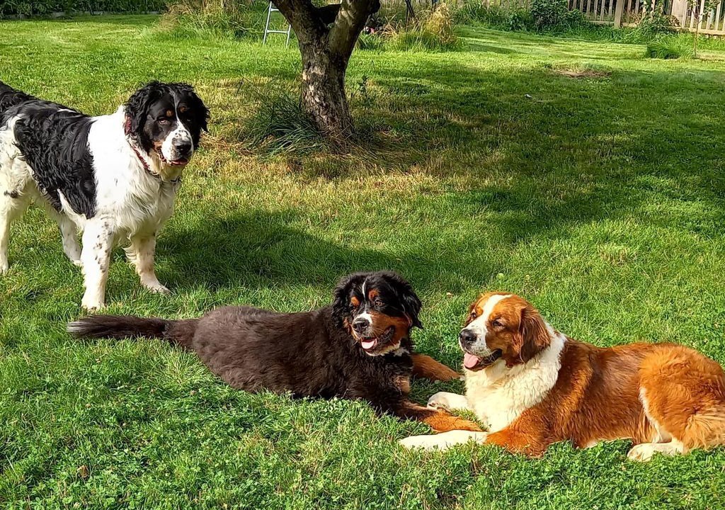 Photo of Others in Rathmannsdorf