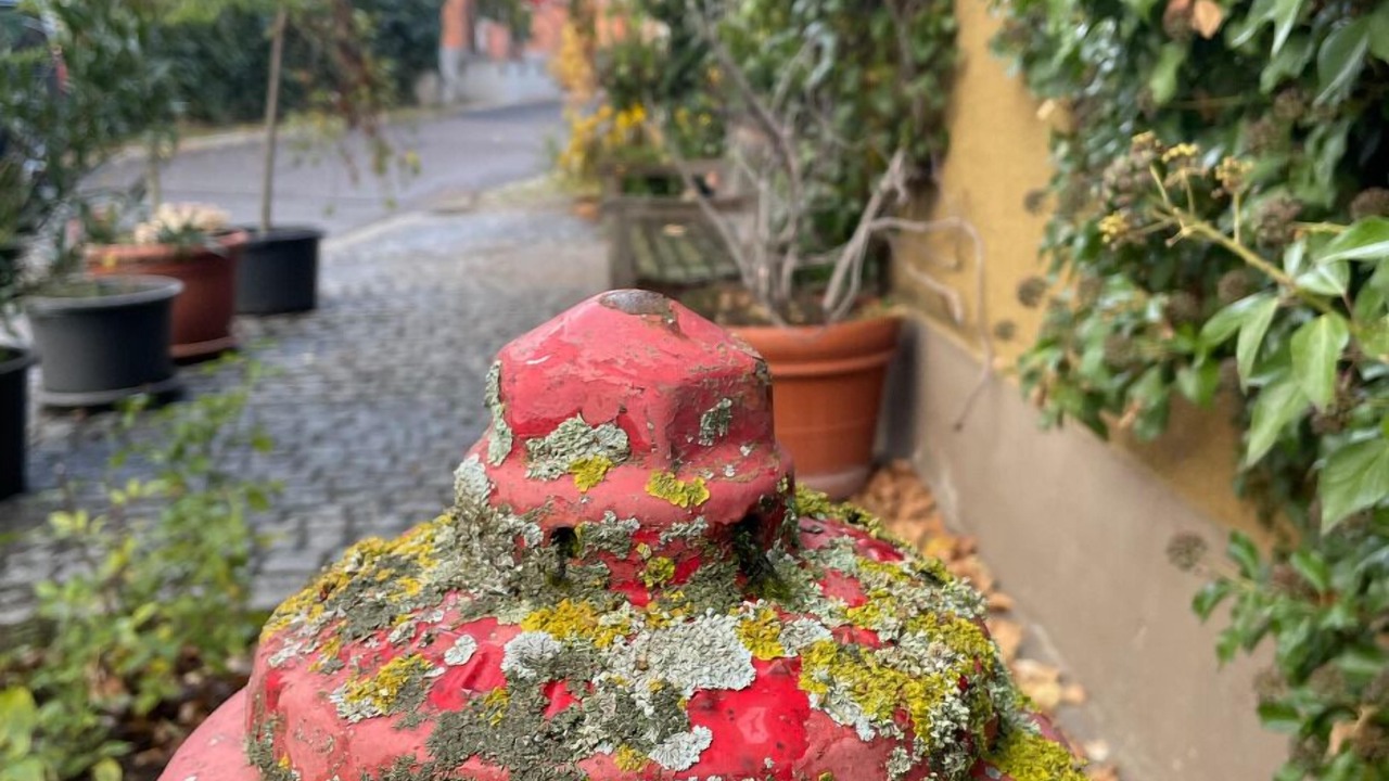 Photo of Outdoor in Hahnbach