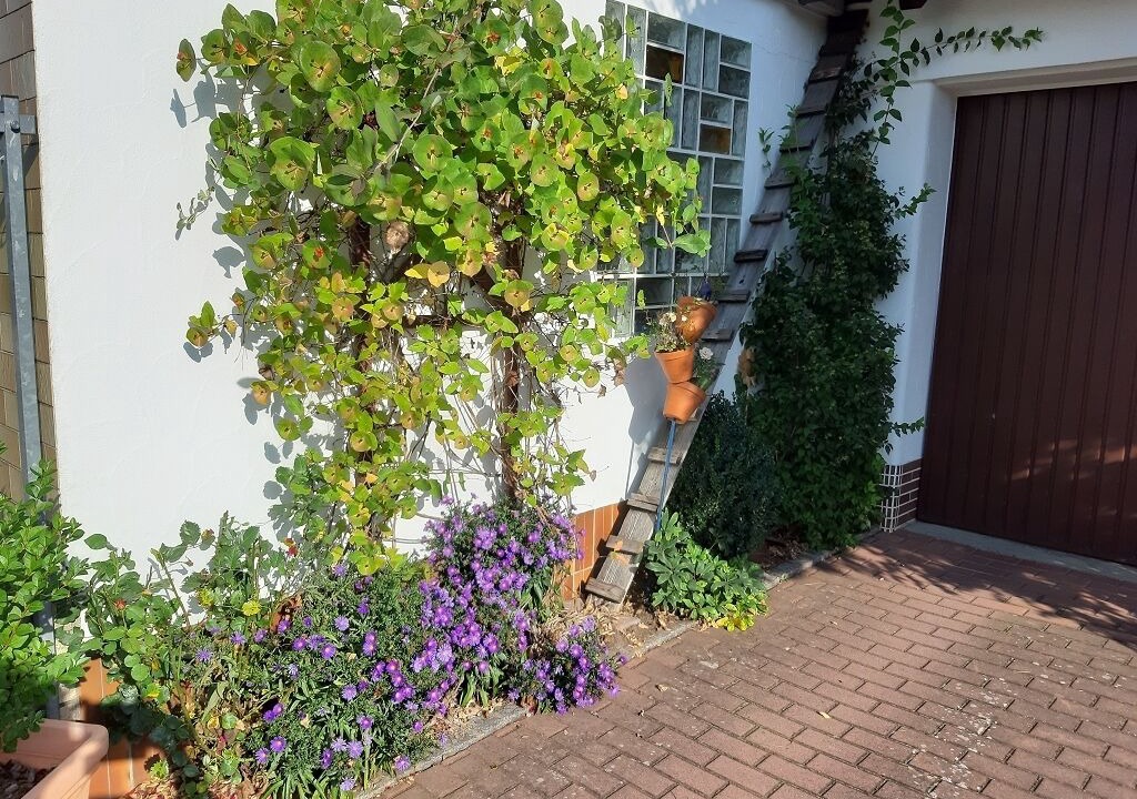 Photo of Outdoor in Maroldsweisach