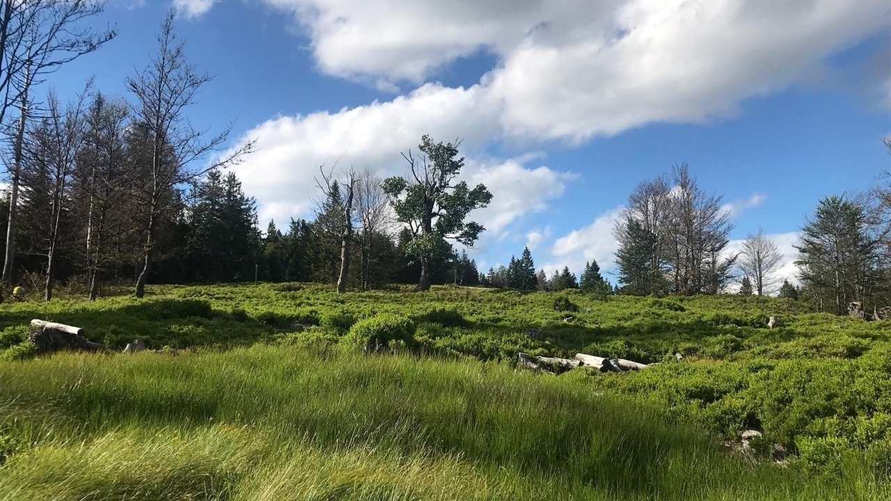 Photo of Outdoor in Ludwigsthal