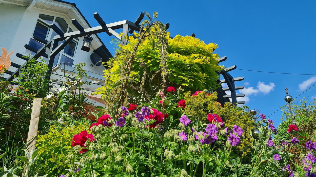 Photo of Outdoor in Ludwigsthal