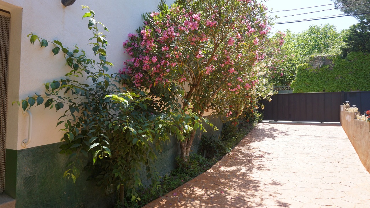 Photo of Outdoor in Calig