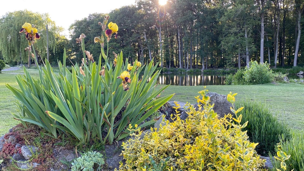 Photo of Outdoor in Everswinkel