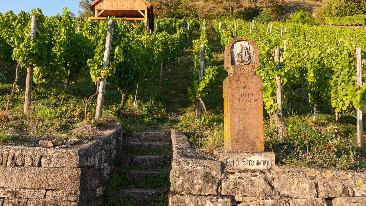 Photo of Outdoor in Gambach