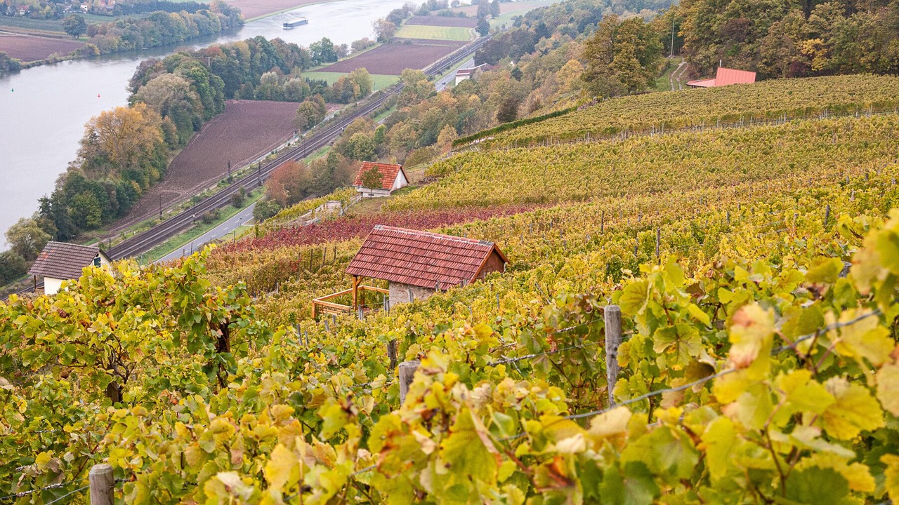 Photo of Outdoor in Gambach