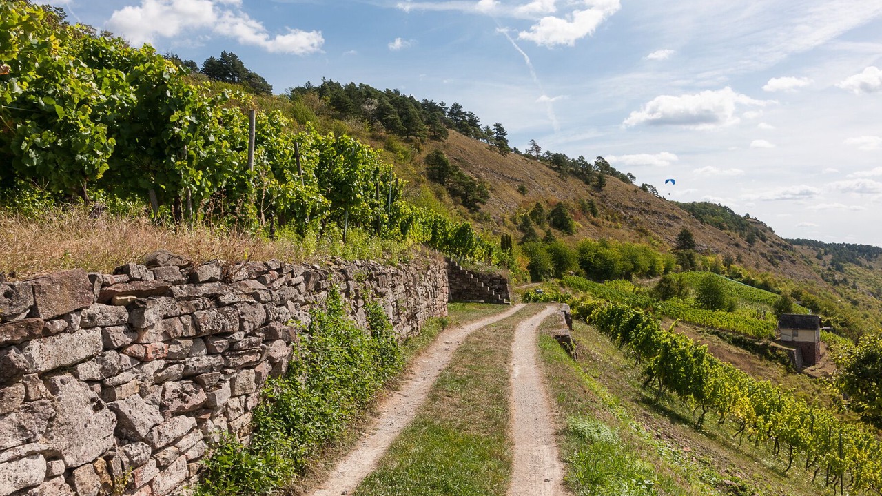 Photo of Outdoor in Gambach