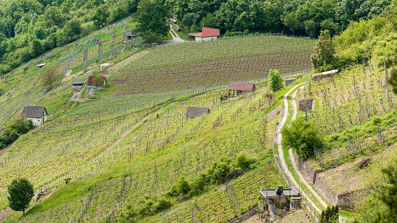 Photo of Outdoor in Gambach