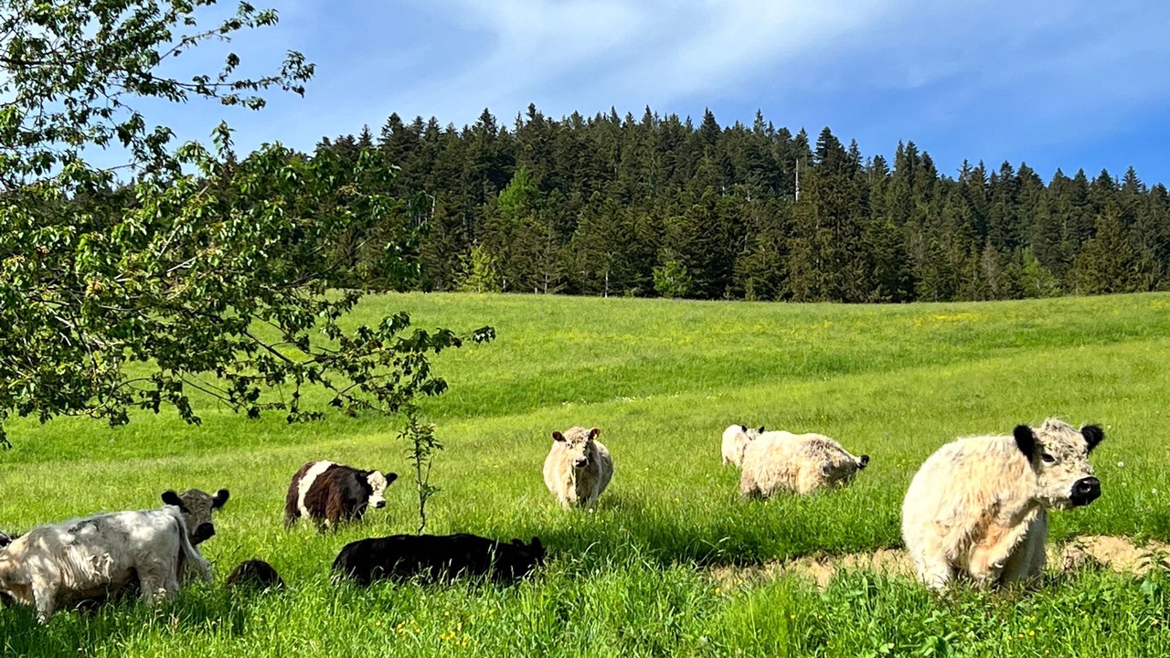 Photo of Others in Tegernsee