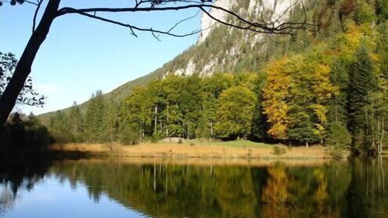 Photo of Others in Inzell