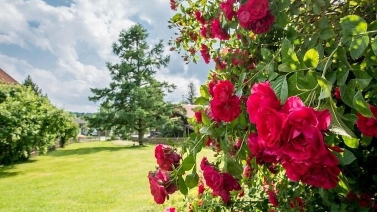 Photo of Outdoor in Seehausen am Staffelsee