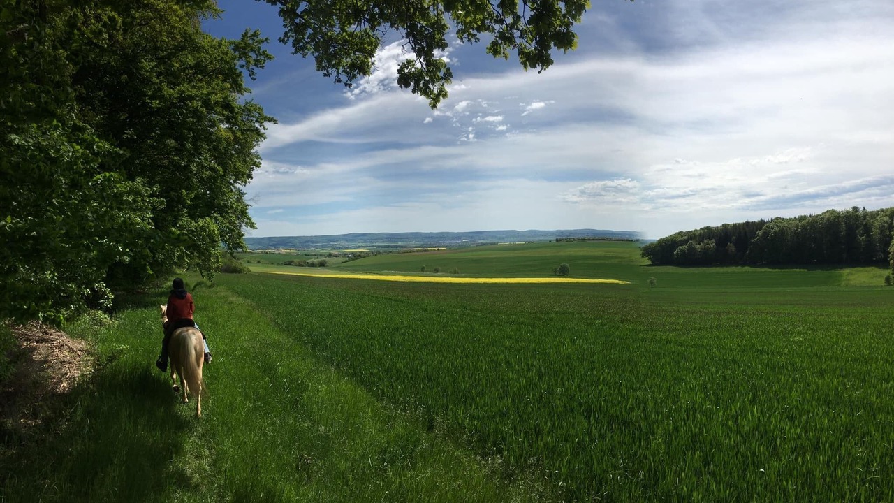 Photo of Others in Riedbach