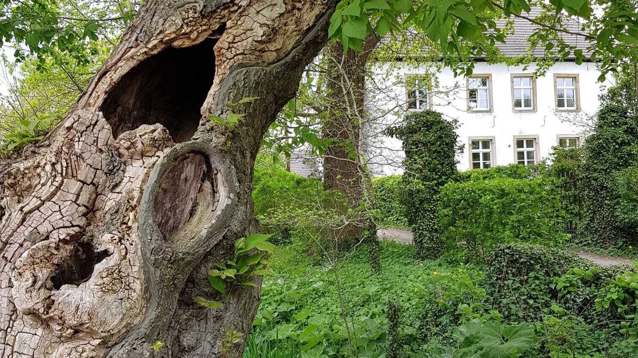 Photo of Outdoor in Ostercappeln